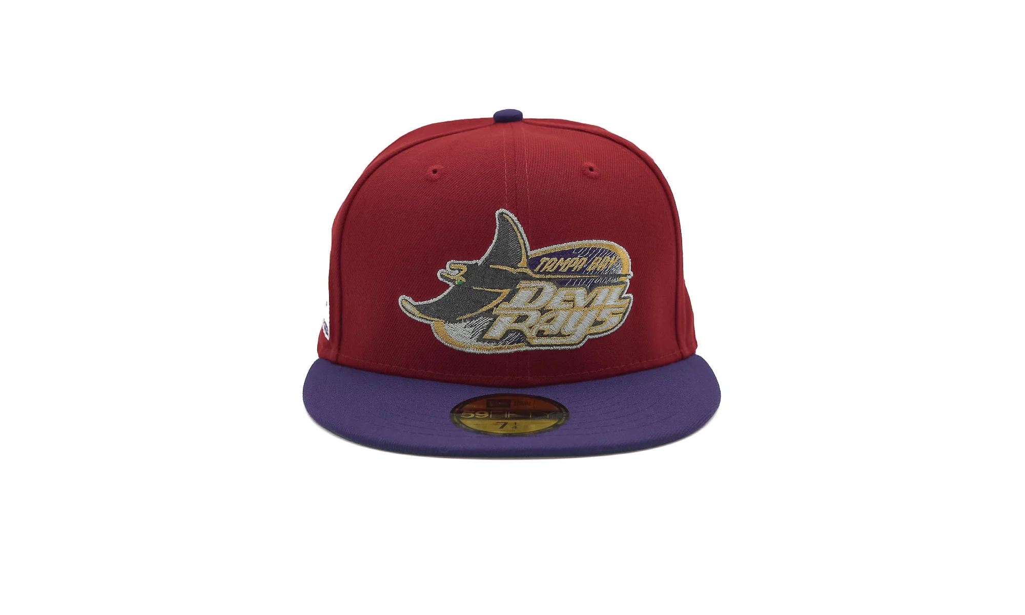 5950 Tampa Bay Devil Rays Tropicana Field "FR Exclusive" 70859443