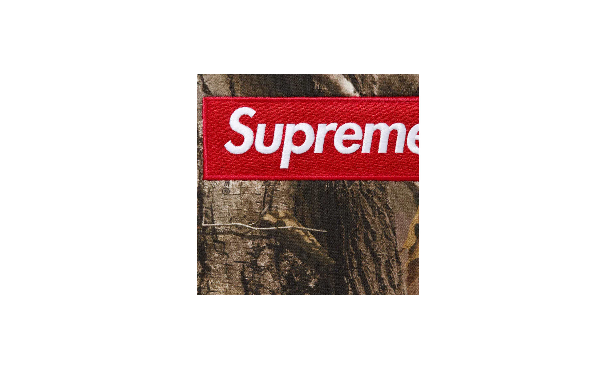 Box Logo Hooded Sweatshirt "FW25 - Realtree® AP Camo" SU26703 - Image 2