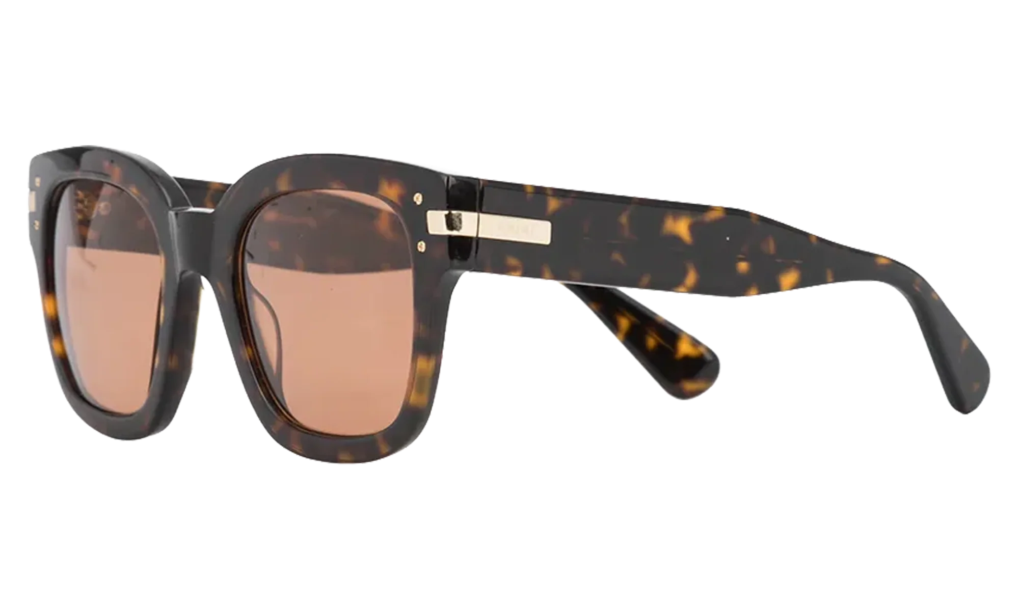 Classic Logo Sunglasses "Brown / Brown / Gold" XA41763AC BBG - Image 2