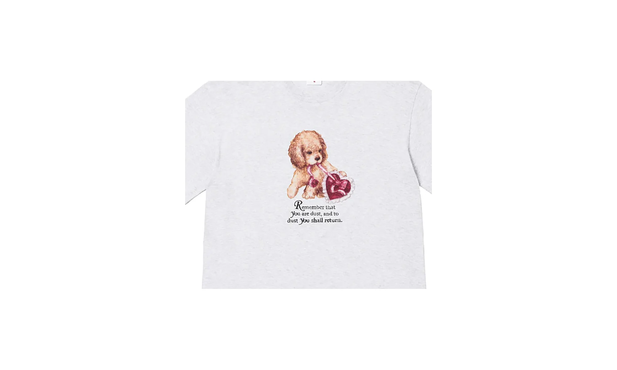 Dust Tee "FW25 - Ash Grey" SU26813 - Image 2