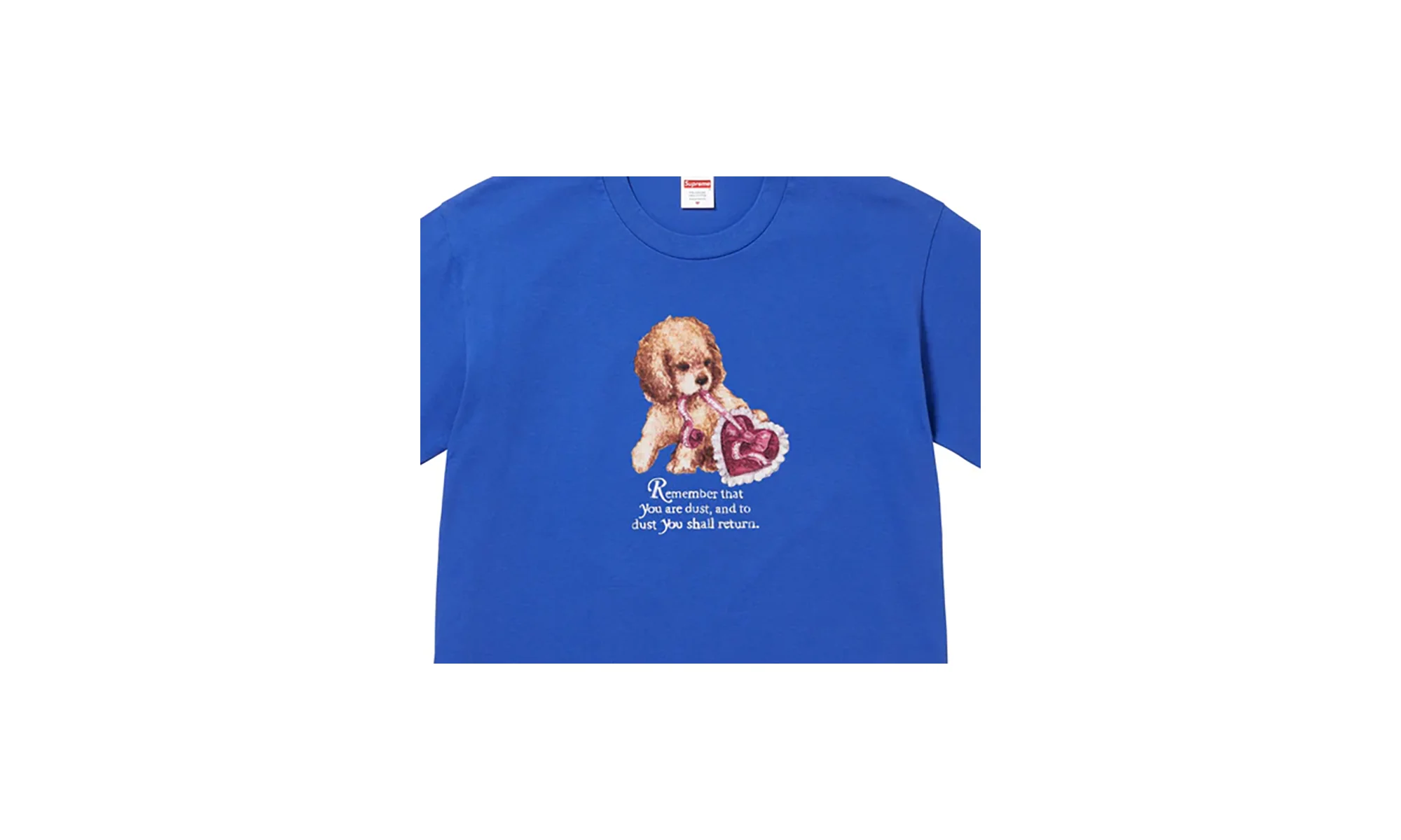 Dust Tee "FW25 - Royal" SU26815 - Image 2