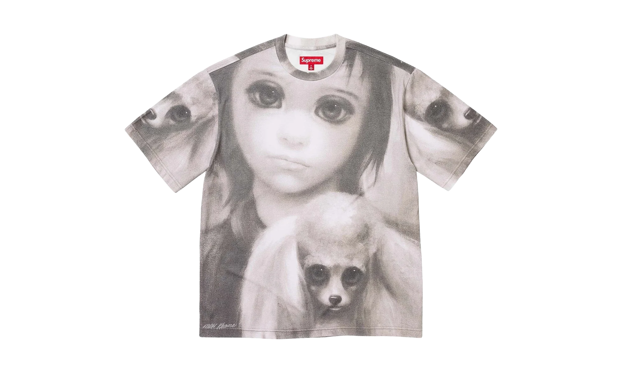 Margaret Keane Best Friends S/S Top "Multi (Rainbow)" SU26579