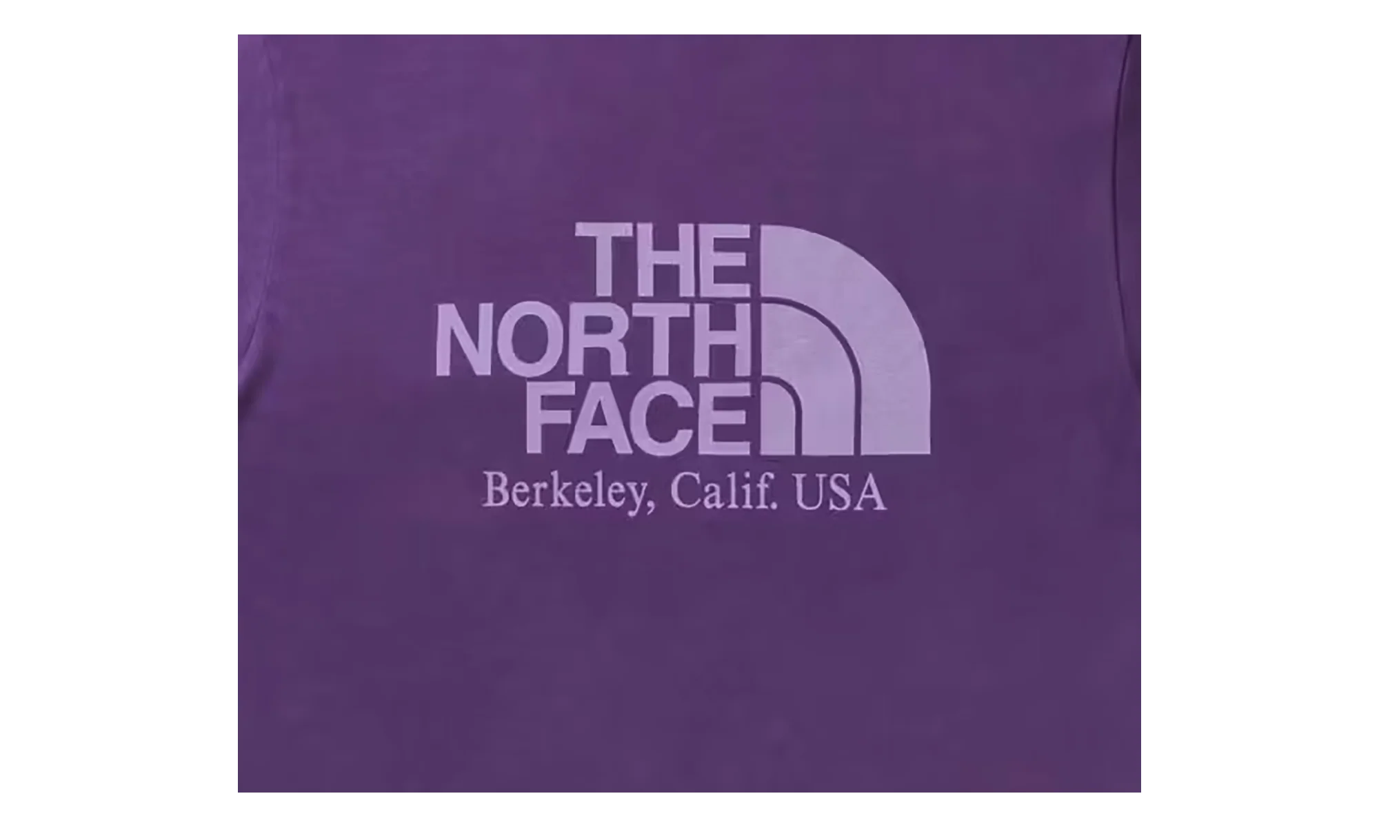 The North Face Purple Label Field Graphic Tee "Purple" p0118 - Image 2