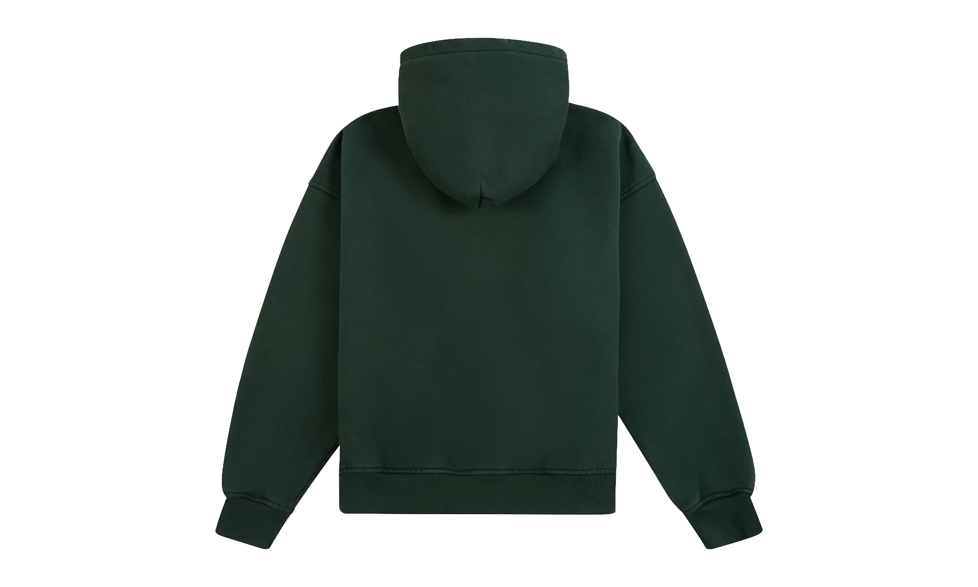 Thousand Palms Hoodie "Vintage Forest Green" RHFW25HO05012-3165 - Image 2